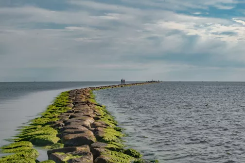 Pärnu ranna muul